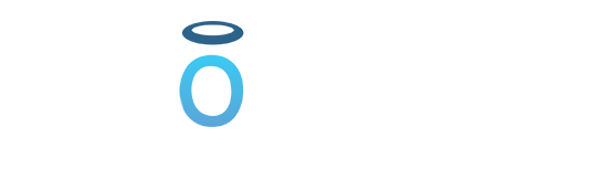 Halo Group